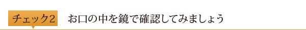 チェック2	お口の中を鏡で確認してみましょう
