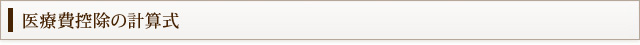 医療費控除の計算式